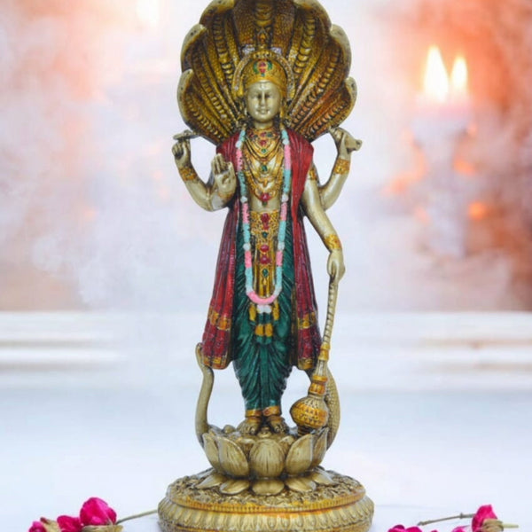 Divine Blessings of Vishnu Bhagwan